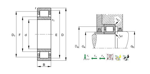 KOYONJ313+HJ313圆柱滚子轴承平面图